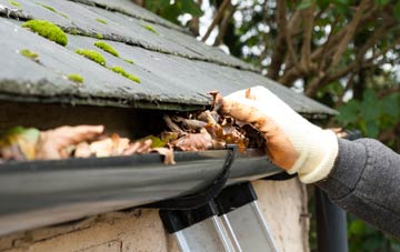 gutter cleaning Bethania